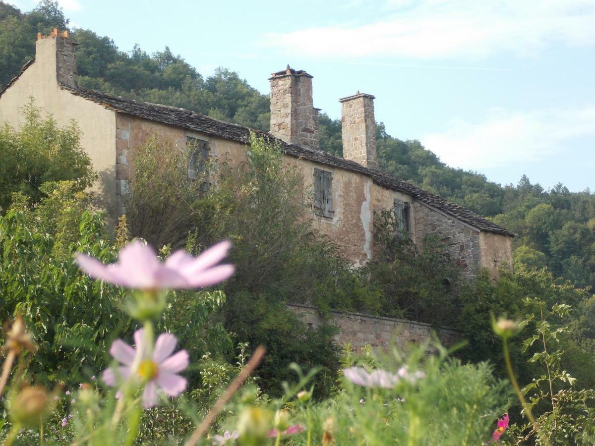 Le Cintrium Bed & Breakfast Viala-du-Tarn Exterior photo